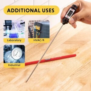 Laboratory Thermometer (Digital)